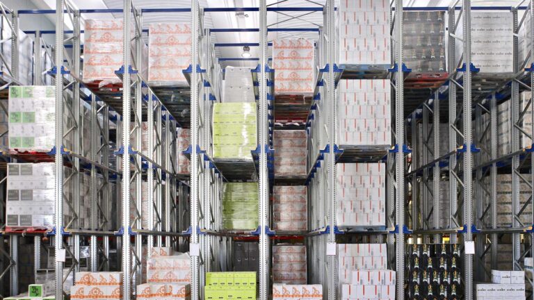 10 drive in paletna sistema scaled