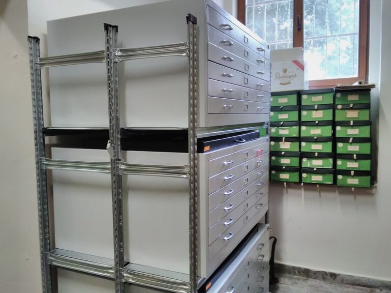 2. img 20210907 110918 scaled