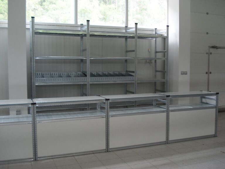 3. sthenderi 1 scaled